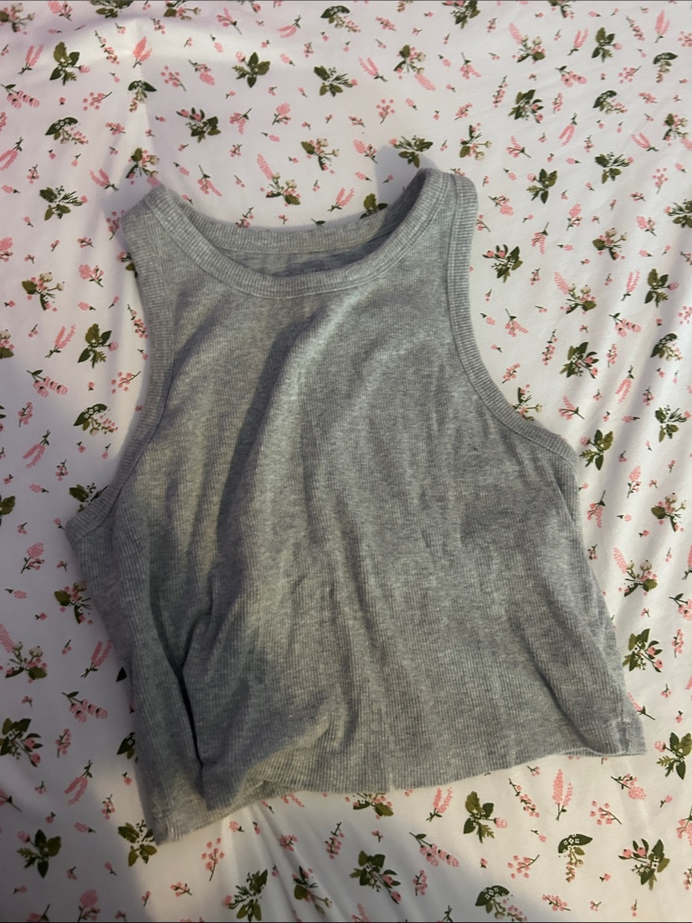 aerie Grey Ribbed Cropped Tank